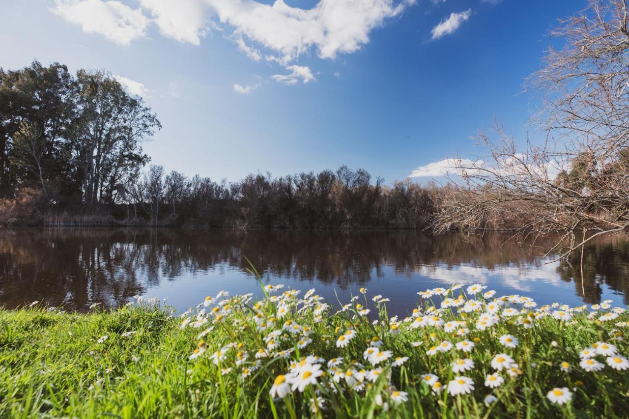 Binzas Betzas Agriturismo Sedilo 외부 사진